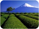 Japon - Mont Fuji