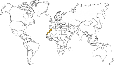 CdT - Planisphère - Maroc